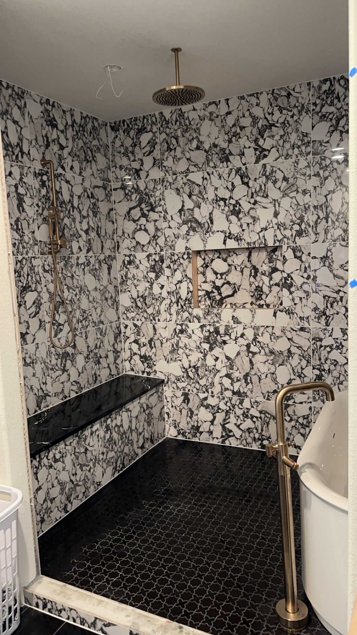 Walk-in Tub and Shower